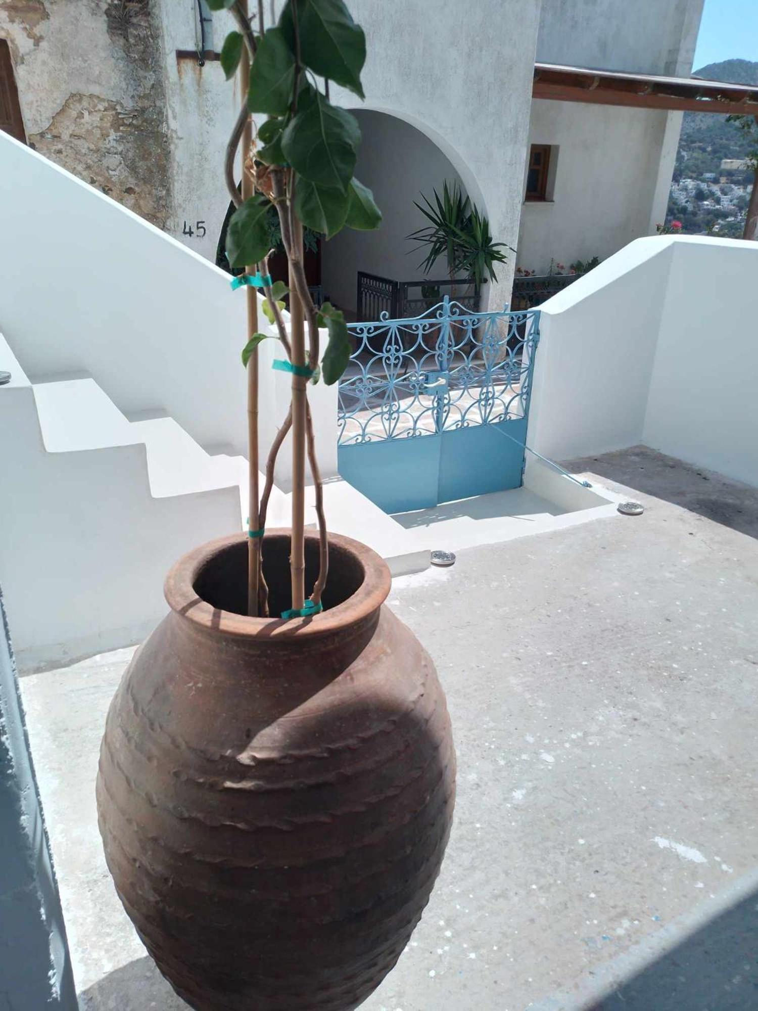 Blue House Villa Koronos Exterior photo